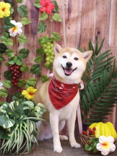 20230825シェリーちゃん